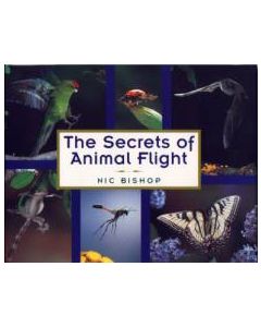 The Secrets of Animal Flight