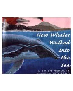 How Whales Walked Into the Sea