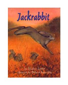 Jackrabbit