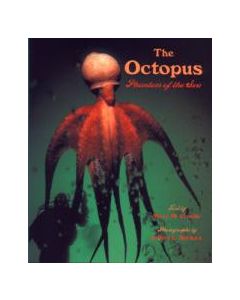 The Octopus: Phantom of the Sea