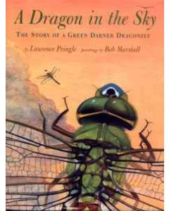 A Dragon in the Sky: The True Story of a Green Darner Dragonfly