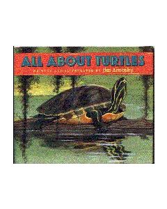 All About Turtles