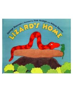 Lizard’s Home