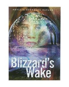 Blizzard’s Wake