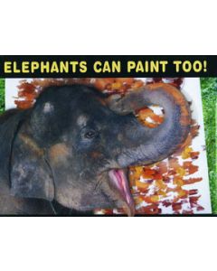 Elephants Can Paint Too!