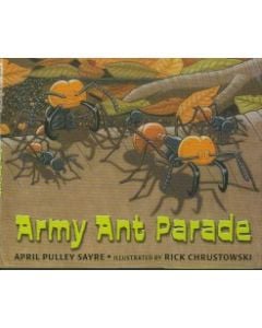 Army Ant Parade