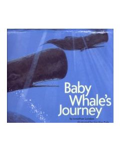 Baby Whale’s Journey