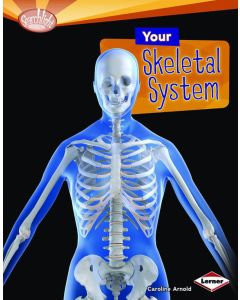 Your Skeletal System