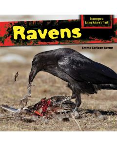 Ravens