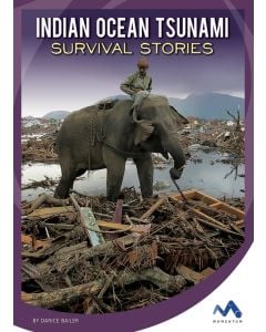 Indian Ocean Tsunami: Survival Stories