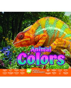 Animal Colors