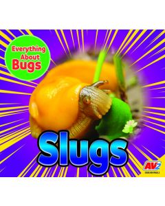 Slugs