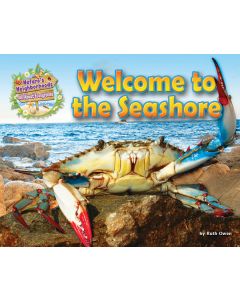 Welcome to the Seashore