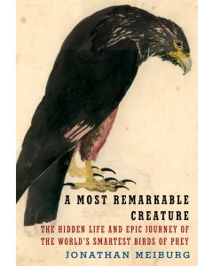 Most Remarkable Creature