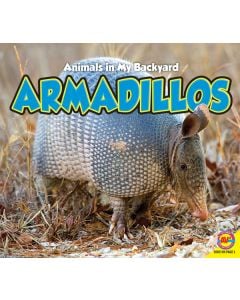 Armadillos