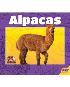 Alpacas