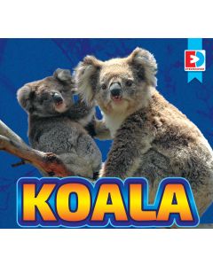 Koala