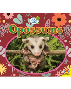 Opossums