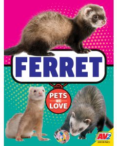 Ferret