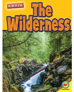 The Wilderness