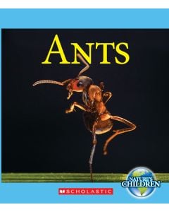 Ants