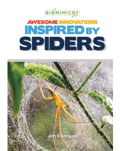 Awesome Innovations Inspired by Spiders