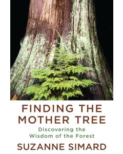 Finding the Mother Tree: Discovering How the Forest Is Wired for Intelligence and Healing