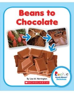 Beans to Chocolate