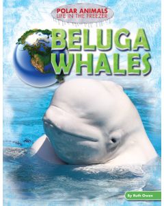 Beluga Whales