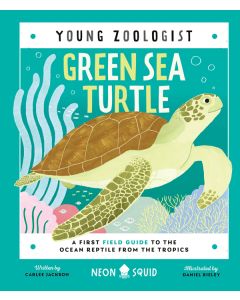 Green Sea Turtle: A First Field Guide to the Ocean Reptile from the Tropics