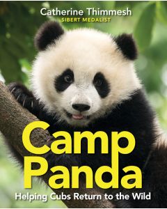 Camp Panda: Helping Cubs Return to the Wild