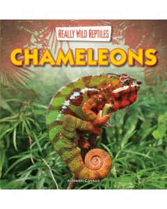 Chameleons