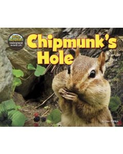 Chipmunk's Hole