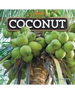 Coconut