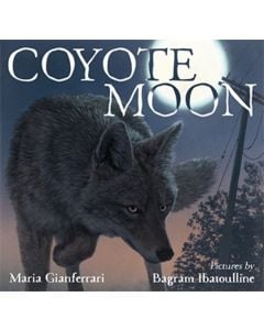 Coyote Moon