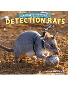 Detection Rats