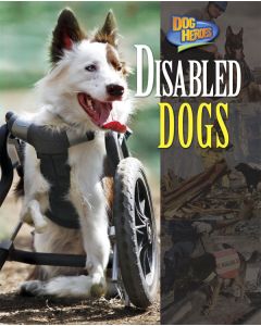 Disabled Dogs