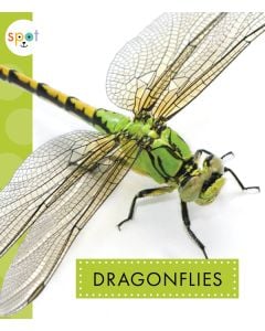 Dragonflies