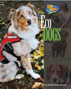 Eco Dogs