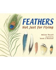 Feathers: Not Just for Flying