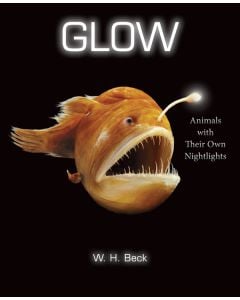 Glow: Animals with Their Own Nightlights