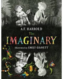 The Imaginary