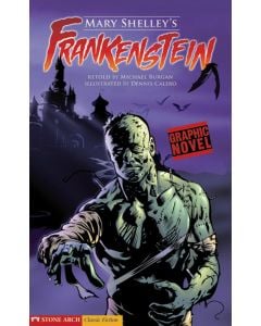 Mary Shelley’s Frankenstein