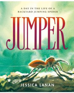 Jumper: A Day in the Life of a Backyard Jumping Spider