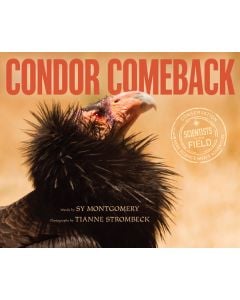 Condor Comeback