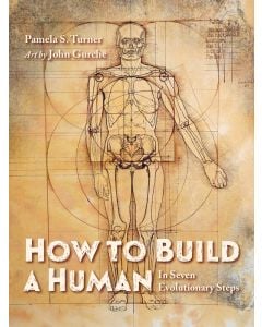 How to Build a Human: In Seven Evolutionary Steps