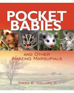 Pocket Babies and Other Amazing Marsupials