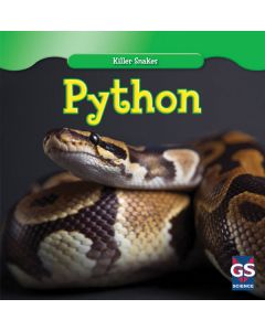 Python