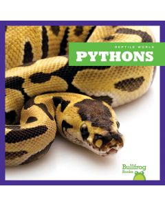 Pythons