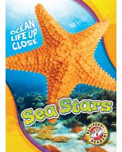 Sea Stars